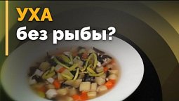 Вегетарианская уха и салат с апельсином | Семеро с ложкой: кулинария
