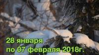 181 Видео отзывы гостей