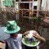 Засуха и наводнение в Бразилии