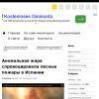 Аномальная жара спровоцировала лесные пожары в Испании
