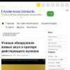 Ученые обнаружили живых акул в кратере действующего вулкана