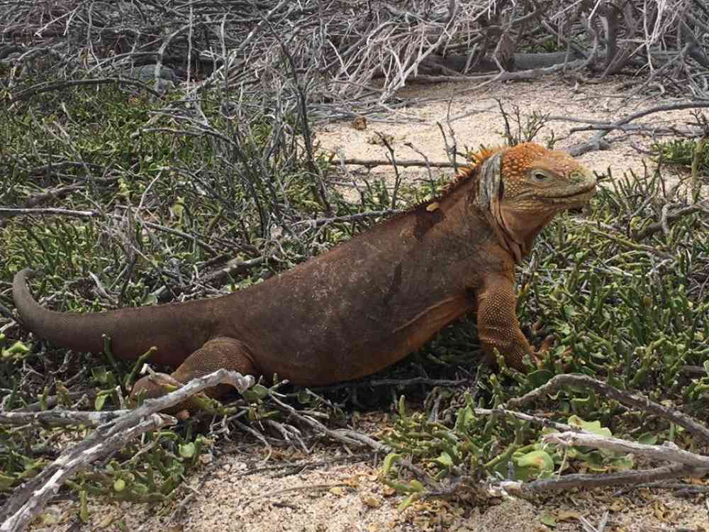 Адвентисты планируют открыть учебный центр Творения на ‘Месте рождения эволюции’