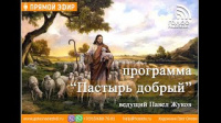 Его величество случай | программа "Пастырь добрый"