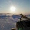 В Арктике найдены «черные курильщики»
