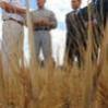 Россия: Экспорту зерна угрожает засуха