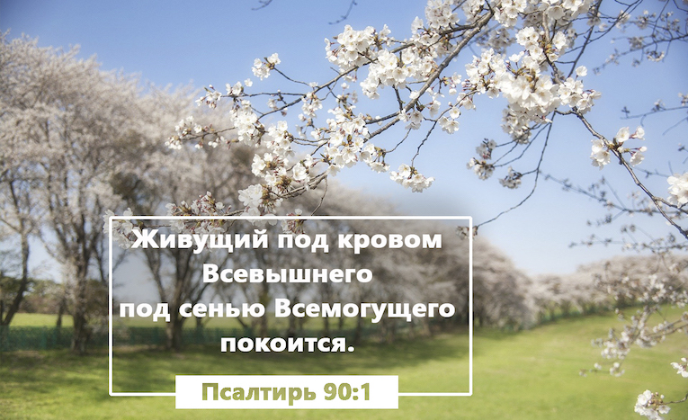 Всевышний песни. Живущий под кровом Всевышнего. Живое под кровом Всевышнего Бога стих.