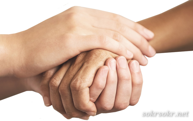 Неожиданная встреча