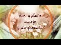 Как извлечь пользу из конфликта?