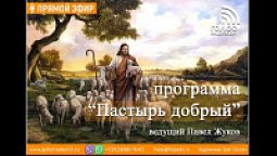 Я выбираю! Бог одобряет? | программа "Пастырь добрый"