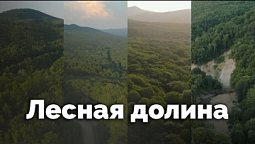 Лесная долина | С любовью к русской природе