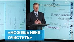 «Можешь меня очистить» | Возрождение