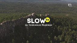 Озеро Аракуль  |  Slow TV