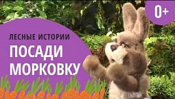 Посади морковку | Лесные истории (0+)