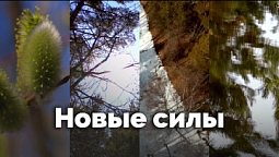 Новые силы | С любовью к русской природе
