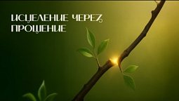 Исцеление через прощение | Древо жизни