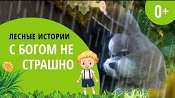 С Богом не страшно | Лесные истории (0+)