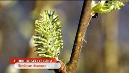 Зелёные «ёжики» | С любовью от Бога