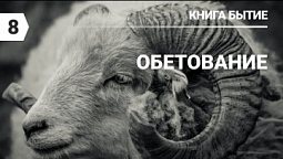 Субботняя школа в Верхней Горнице: книга Бытие:  Обетование #субботняяшкола #верхняягорница