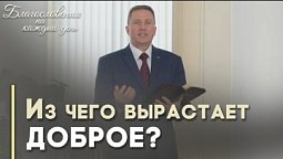 Блаженны милостивые | Благословения на каждый день