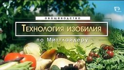 Открытый грунт  Выбор места | Технология изобилия