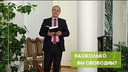 Насколько вы свободны? | Благословения на каждый день