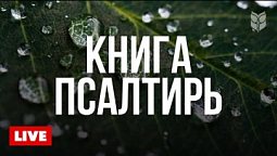 ???? Псалмы на каждый день | Слушайте Библию онлайн 24/7