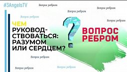 Чем руководствоваться: разумом или сердцем? | Вопрос ребром