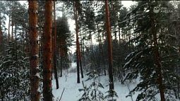 Возможность | С любовью к русской природе