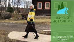 Скандинавская ходьба с палками - техника ходьбы для начинающих. Центр здоровья в Молоково, Пермь