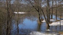 Весенняя лазурь | С любовью к русской природе