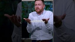 ???? Принцип прощения – НЕ МСТИТЬ! Почему это так важно?