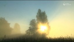 Живое Евангелие | С любовью к русской природе