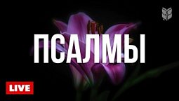 ???? Книга Псалмов для вдохновения | Библия в эфире 24/7