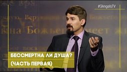 Бессмертна ли душа? (часть первая) | Тайна бессмертия