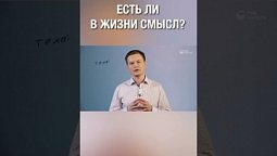 Есть ли в жизни смысл? А как считаешь ты?