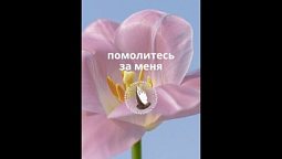 Помолитесь за меня!