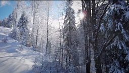 Зимняя сказка | Библия и природа
