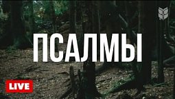 ???? Книга Псалмов для вдохновения | Библия в эфире 24/7