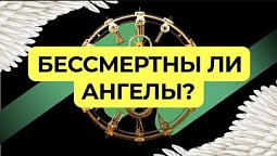 Бессмертны ли ангелы | Подкаст Книга Книг