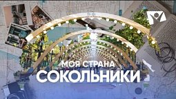 Сокольники |  Моя страна