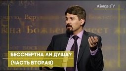 Бессмертна ли душа? (часть вторая) | Тайна бессмертия