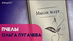 Пчелы | Мысли вслух