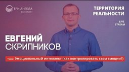 Эмоциональный интеллект | Территория реальности