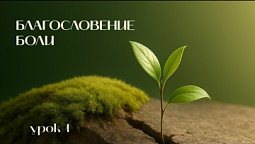Древо жизни | Чтобы боль не была пережита напрасно