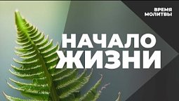 Начало жизни   | Время молитвы