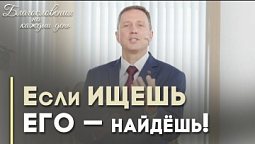 Почему важно искать мира | Благословения на каждый день