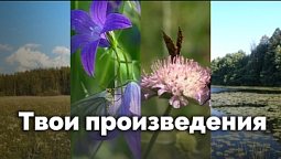 Твои произведения | С любовью к русской природе