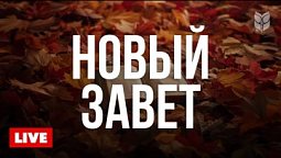Новый Завет. Библия в современном переводе | ???? Live 24/7
