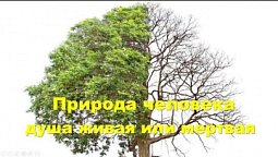 Субботняя школа в Верхней Горнице: Урок 3: Природа человека #субботняяшкола