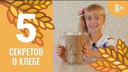 5 секретов о хлебе. Чудеса каждый день. 11 серия (6+)